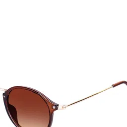 Eyedens Unisex Brown Lens & Brown Round Sunglasses with image 4