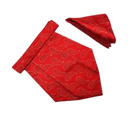 VOICI Men Woven Paisley Design Cravats & Pocket Square Combo-picture-15