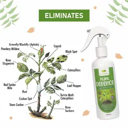 GREENFINITY Plant Defence Neem Oil Spray For Indoor & Outdoor Plants|Fortified With 7 Effective Essential Oils | Removes Mealybugs, Wide Range Of Garden Pests & Fungus | NMSPY 100ML image 2