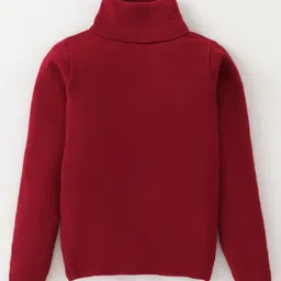 Yellow Apple Viscose Knit Full Sleeves Turtle Neck Solid Colour Winter T-Shirt - Maroon-picture-19