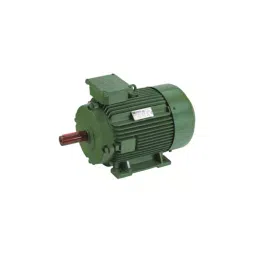 Hindustan Electric Motors Three Phase 20HP 10 Pole Foot Mounted Induction Motor 2HL1 206-1005-image-82