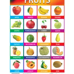 bookford publications Laminated Fruits & Vegetables Charts Pack of 2 - English image 3