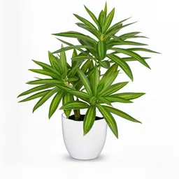 Dekorly Green Plastic Artificial Flowers & Plants With Pot image 1