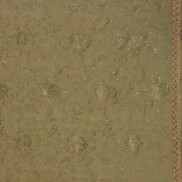 Koskii Tissue Saree image 5