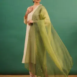 Jaypore Green Kota Hand Embroidered Dupatta-picture-38