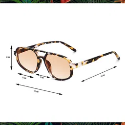 Peter Jones Eyewear Women Square Sunglasses with Polarised and UV Protected Lens image 3