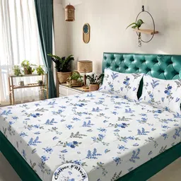 KLOTTHE White & Blue Printed 300 TC Fitted King Bedsheet 2.5 x 2.25 m-picture-32