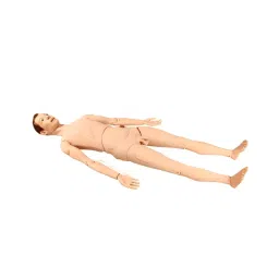 A-ONE SCIENCE PVC Basic Combination Nursing Manikin Unisex AOSBM286 image 2