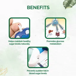 dr vaidya's Dr. Vaidya’s Diabex image 3