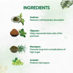 dr vaidya's Dr. Vaidya’s Diabex image 4