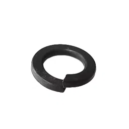 CHAMPION M33 Black Spring Washer, SWMS-33 (Pack of 25)-picture-45