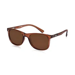 Dervin Unisex Brown Lens & Brown Square Sunglasses with-picture-13