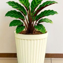 go hooked Plastic Planter Pot for Indoor Outdoor Plants 14 Inch Flower Pot (Pack of 1)-picture-36