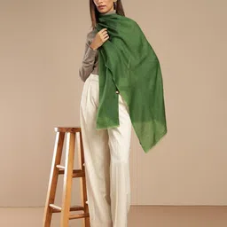 Fabindia Fringed Border Detail Shawl image 3