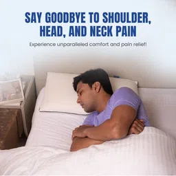 PILLOW TREE White Cotton Rectangular Shaped Pre-Filled Pillow image 4