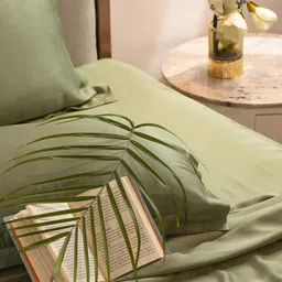 DEBAANS Unisex 300 TC Queen Bedsheet with 2 Pillow Covers-picture-30