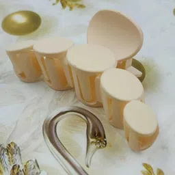 DIVASTRI Women Set of 4 Claw Clip image 5