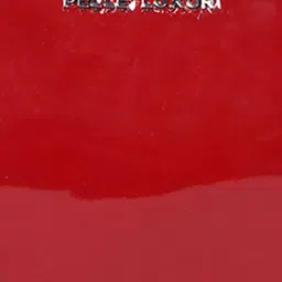 PELLE LUXUR Women Solid Half Moon Handheld Bag image 3