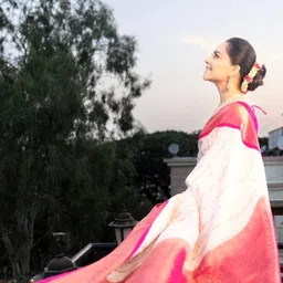 ZIKARAA Woven Design Zari Handloom Saree image 2