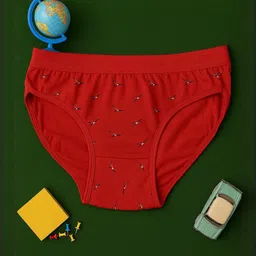 FiveFlag Women Pack of 3 Printed Cotton Briefs-image-44