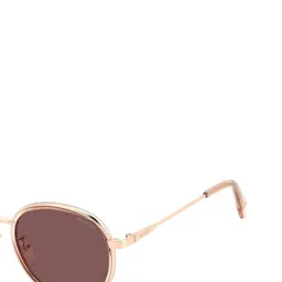 Polaroid Unisex Purple Lens & Gold-Toned Other Sunglasses with UV Protected Lens image 4