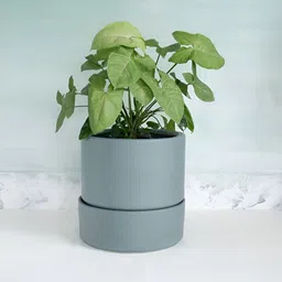 FREEDOM TREE Nested Grey Ceramic Planter With Tray-picture-18