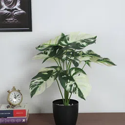 ARICK DECOR White 1 Pieces Monstera Deliciosa Artificial Plant With Pot-image-99