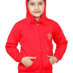 BABY HOME Girls Embroidered Hooded Sweatshirt-picture-26