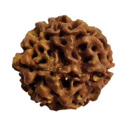 RAVIOUR LIFESTYLE Spherical Pendants-picture-18