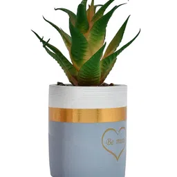 Myntra Elegant Homes Green 1 Pieces Succulent Artificial Plant With Pot image 2