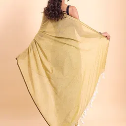 BLOUSON Checked Woven Design Jamdani Saree image 4