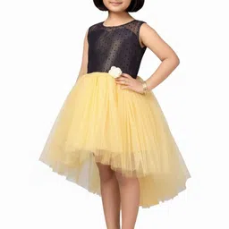 Aarika Net Fit & Flare Dress image 3