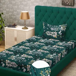 KLOTTHE Green & Beige Floral Printed 300 TC Fitted Single Bedsheet - 2.25 m x 1.50 m-picture-32