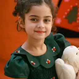 DISHA CREATIONZ Ruffled A-Line Dress-image-4