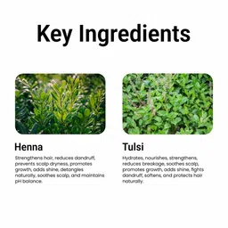 Multani Set Of 2 Heena Tulsi Hair Conditioner- 270 ml Each image 2