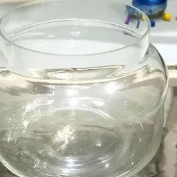 LHC Transparent Cylindrical Shaped Glass Vase image 5