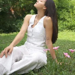 Darakht V Neck Top With Trousers Co-Ords Set image 4