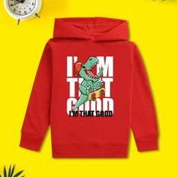 NUSYL Boys Printed Hooded Sweatshirt-picture-20