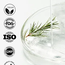 Spring H2O Rosemary Hair Growth Conditioner- 250 ml image 3