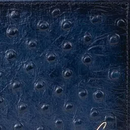 El'Curio Men Textured Leather Two Fold Wallet image 2