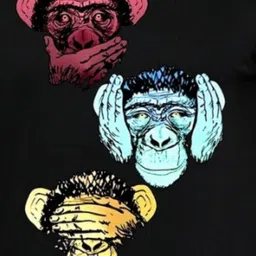 Moda Rapido Men Regular Fit Graphic Printed Round Neck Cotton T-shirt image 5