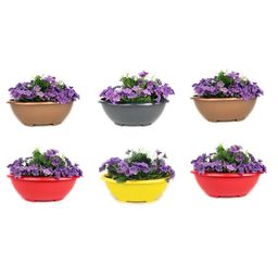 go hooked Bonsai Round Pot 13.7 Inch for Indoor & Outdoor Plants-picture-24