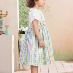 Aarika Checked A-Line Dress image 4