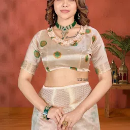 PRISHA FASHION Floral Pattern & Printed Pallu Jaali Banarasi Saree image 4