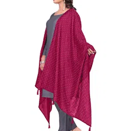 Kemza Pack Of 2 Geometric Embroidered Chanderi Cotton Dupatta With Beads and Stones image 3