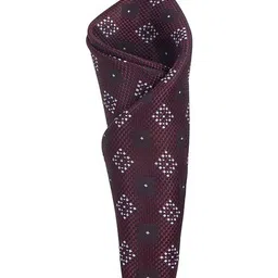 CALIXTO Men Printed Ties With Pocket Square image 5