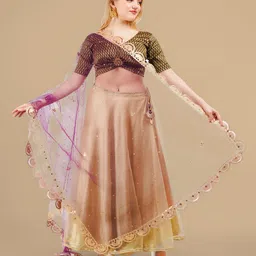 Karthav Fashion Embroidered Dupatta-picture-11