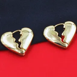 j & c fashion arena J & C Fashion Are Stainless Steel Gold-Plated Earrings-picture-38