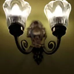 GAUVIK Bronze-Toned & Gold-Toned Metal Quirky Wall Lamp image 2