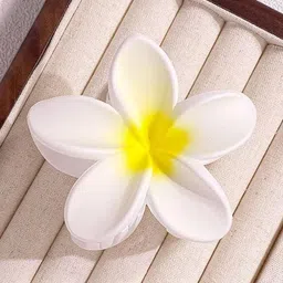 Radhya Accessories Women Set of 2 Claw Clip image 3